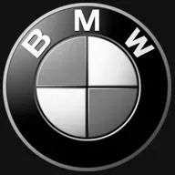 Tona rutor BMW