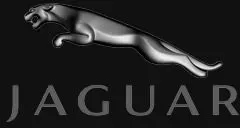 Tona rutor Jaguar